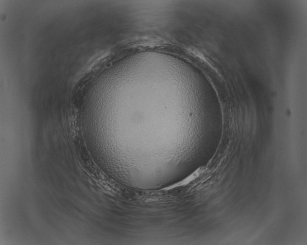 X0000077281399200611031513