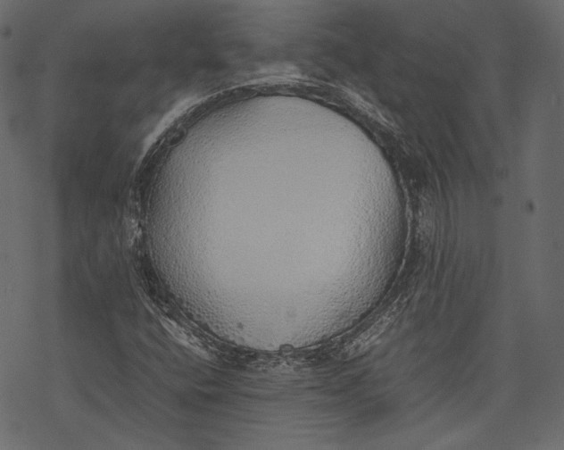 X0000077281400200611031513