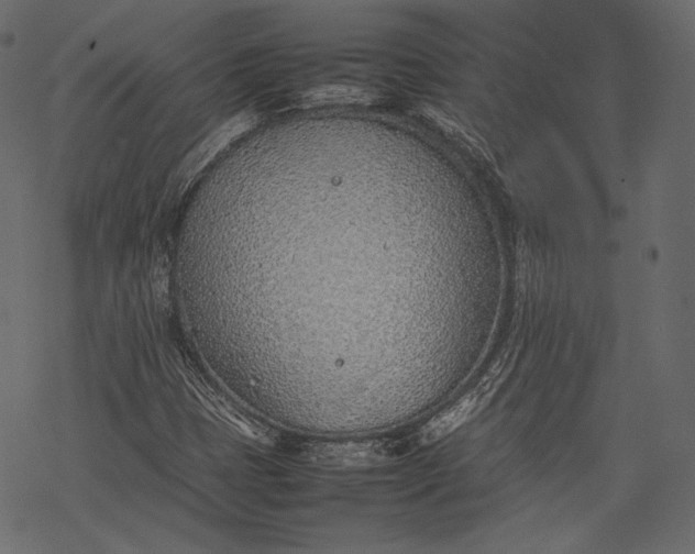 X0000077281401200611031513