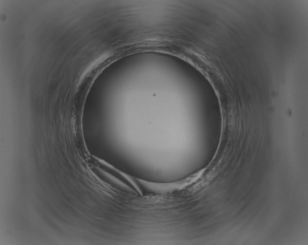 X0000077281402200611031514