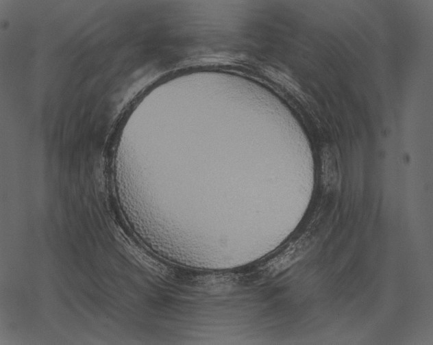 X0000077281404200611031514