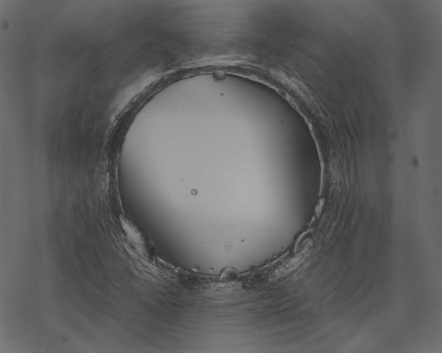 X0000077281406200611031514