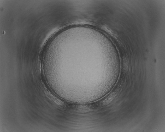 X0000077281408200611031514