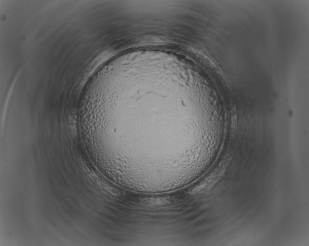 X0000077281409200611031514