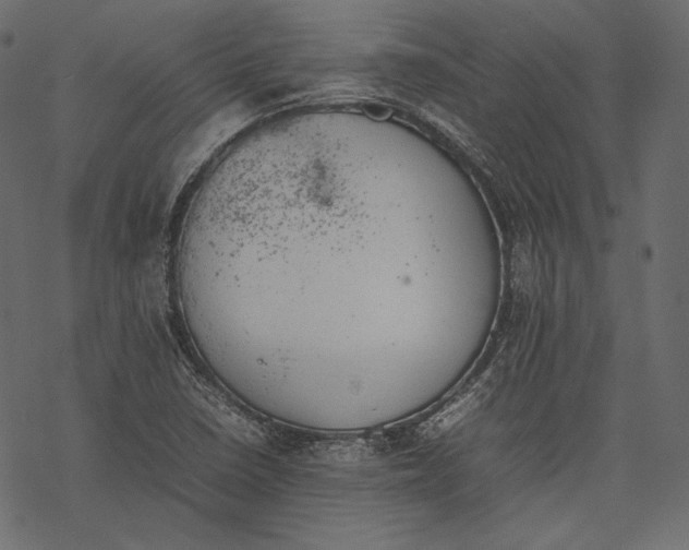 X0000077281410200611031514