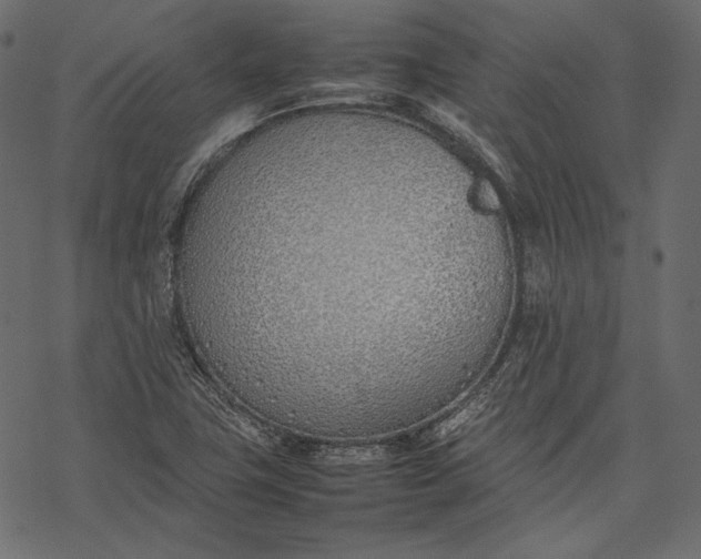 X0000077281411200611031514