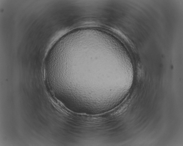 X0000077281413200611031514