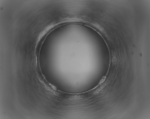 X0000077281414200611031514