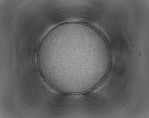 X0000077281417200611031514