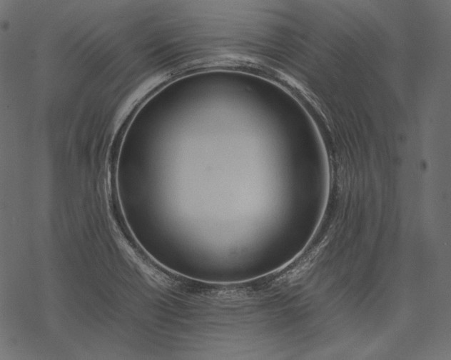 X0000077281418200611031514