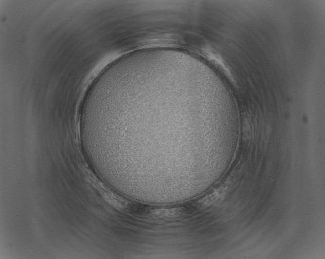 X0000077281419200611031514