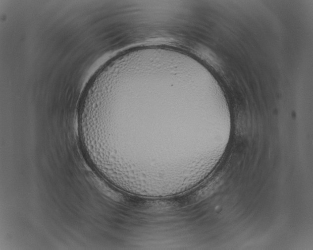 X0000077281420200611031514