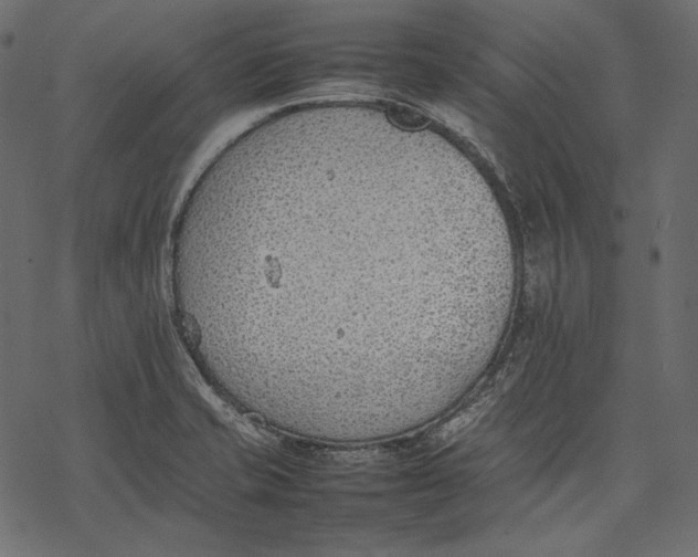 X0000077281421200611031514