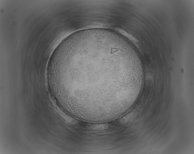 X0000077281423200611031514