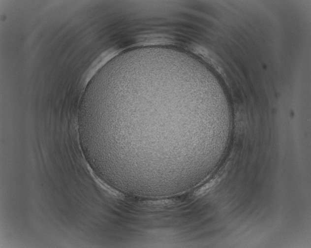 X0000077281425200611031514