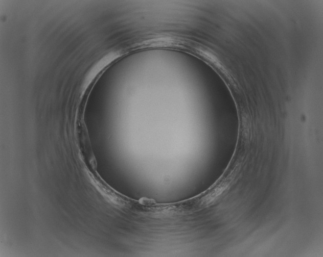 X0000077281426200611031514