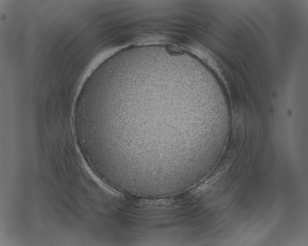 X0000077281429200611031514