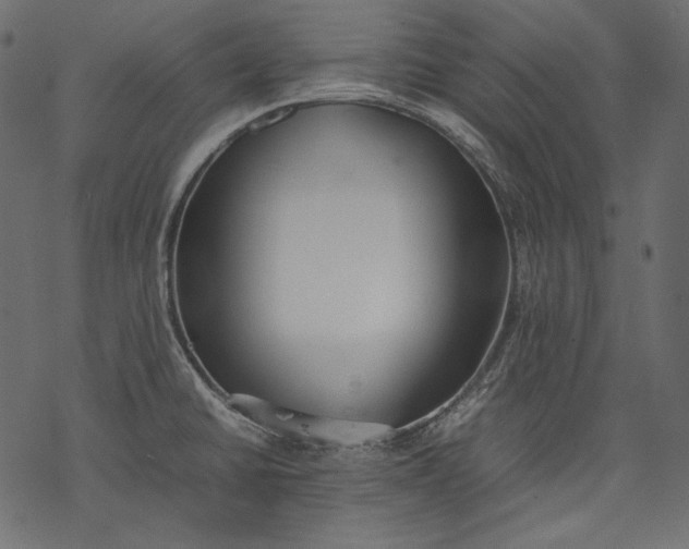 X0000077281430200611031514