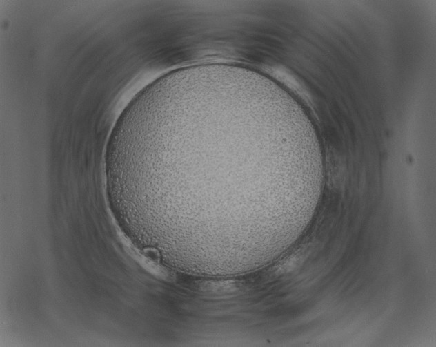 X0000077281431200611031514