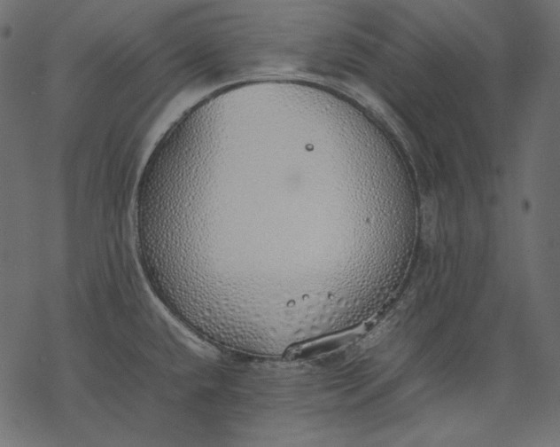 X0000077281432200611031514