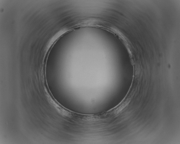 X0000077281434200611031514