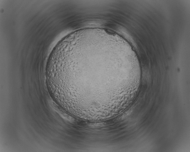 X0000077281435200611031514