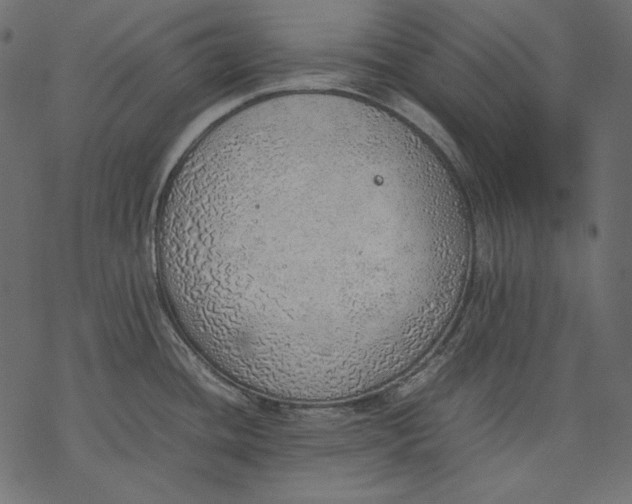 X0000077281436200611031514