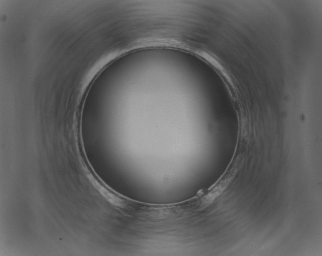 X0000077281438200611031514