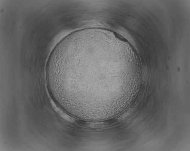 X0000077281439200611031514