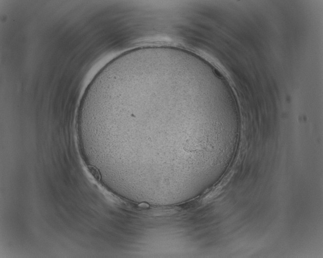 X0000077281440200611031514