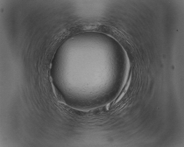 X0000077281441200611031513