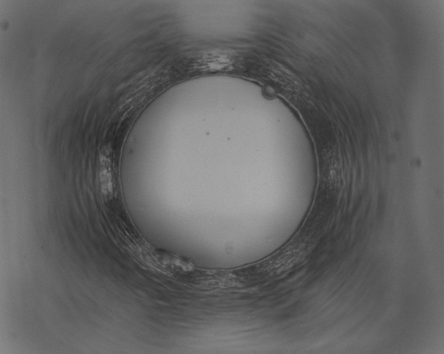 X0000077281442200611031513