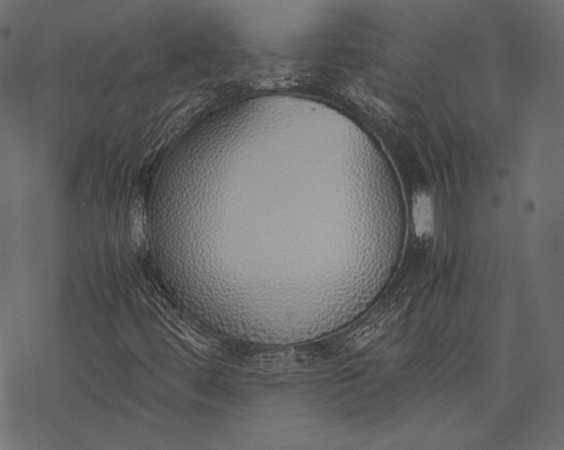 X0000077281444200611031513