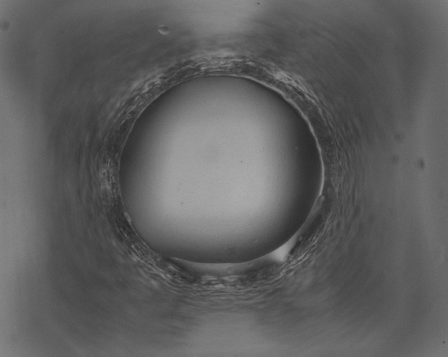 X0000077281445200611031513