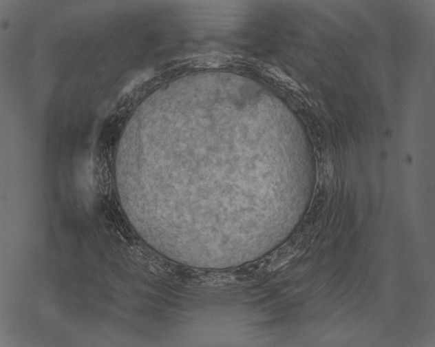 X0000077281446200611031513