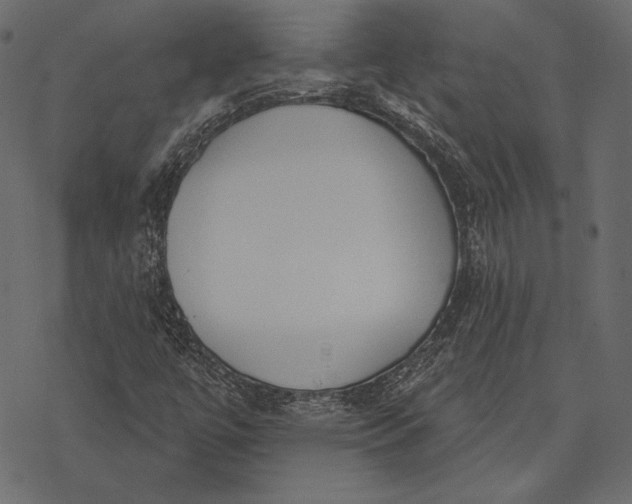 X0000077281447200611031513