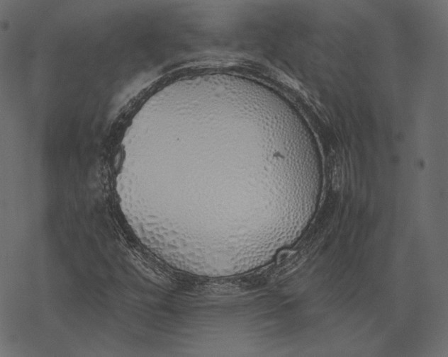 X0000077281448200611031513