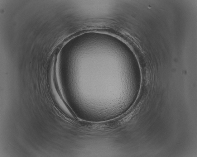 X0000077281449200611031513