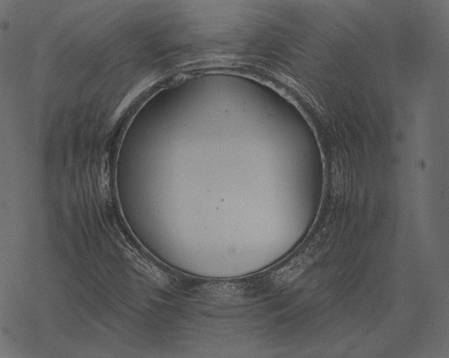 X0000077281450200611031513