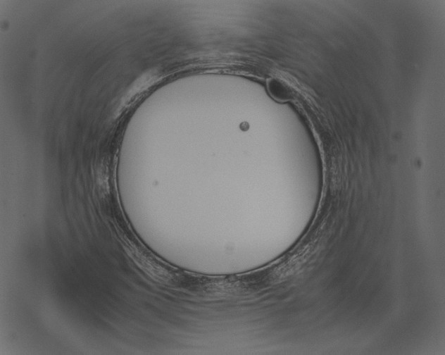 X0000077281451200611031513