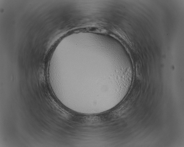 X0000077281452200611031513