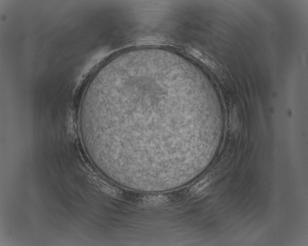 X0000077281454200611031513