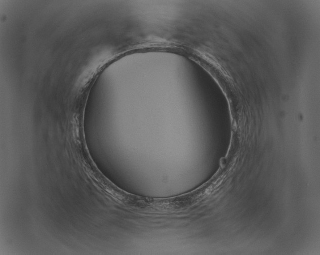 X0000077281455200611031513