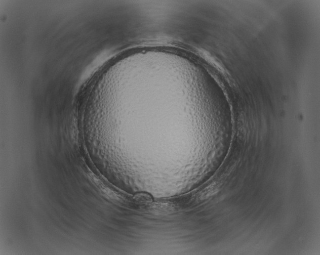 X0000077281456200611031513