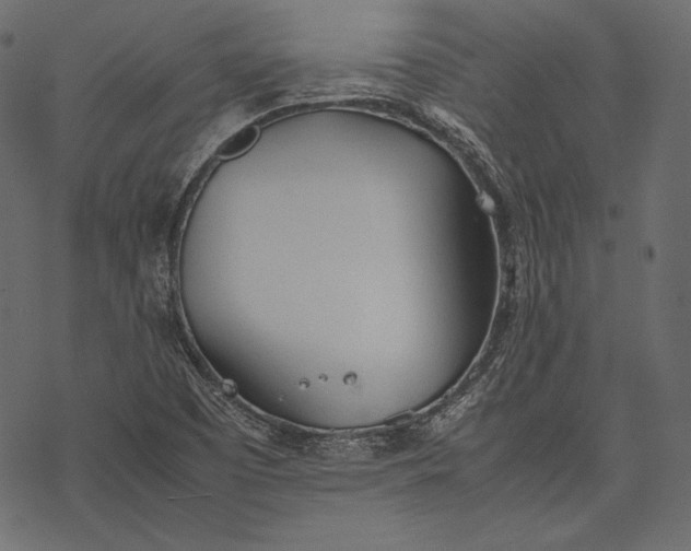 X0000077281457200611031513