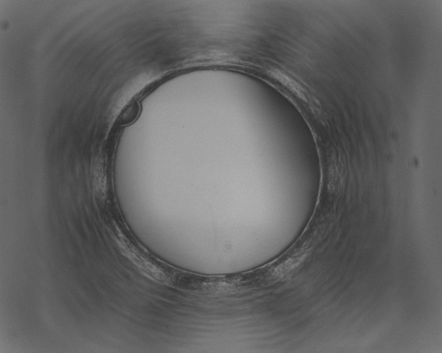 X0000077281458200611031513