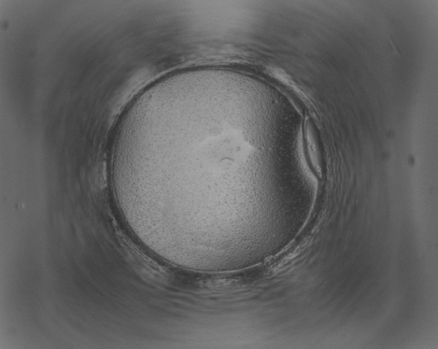 X0000077281459200611031513