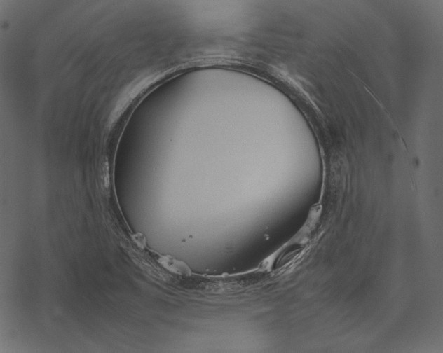 X0000077281461200611031513