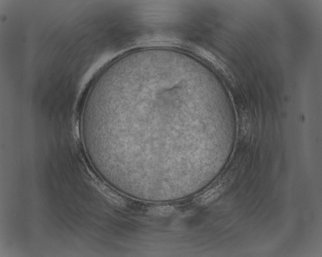 X0000077281462200611031513