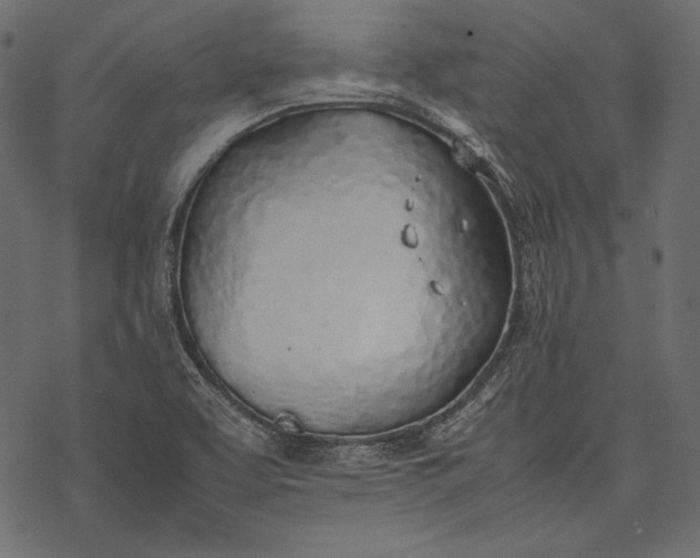 X0000077281463200611031513